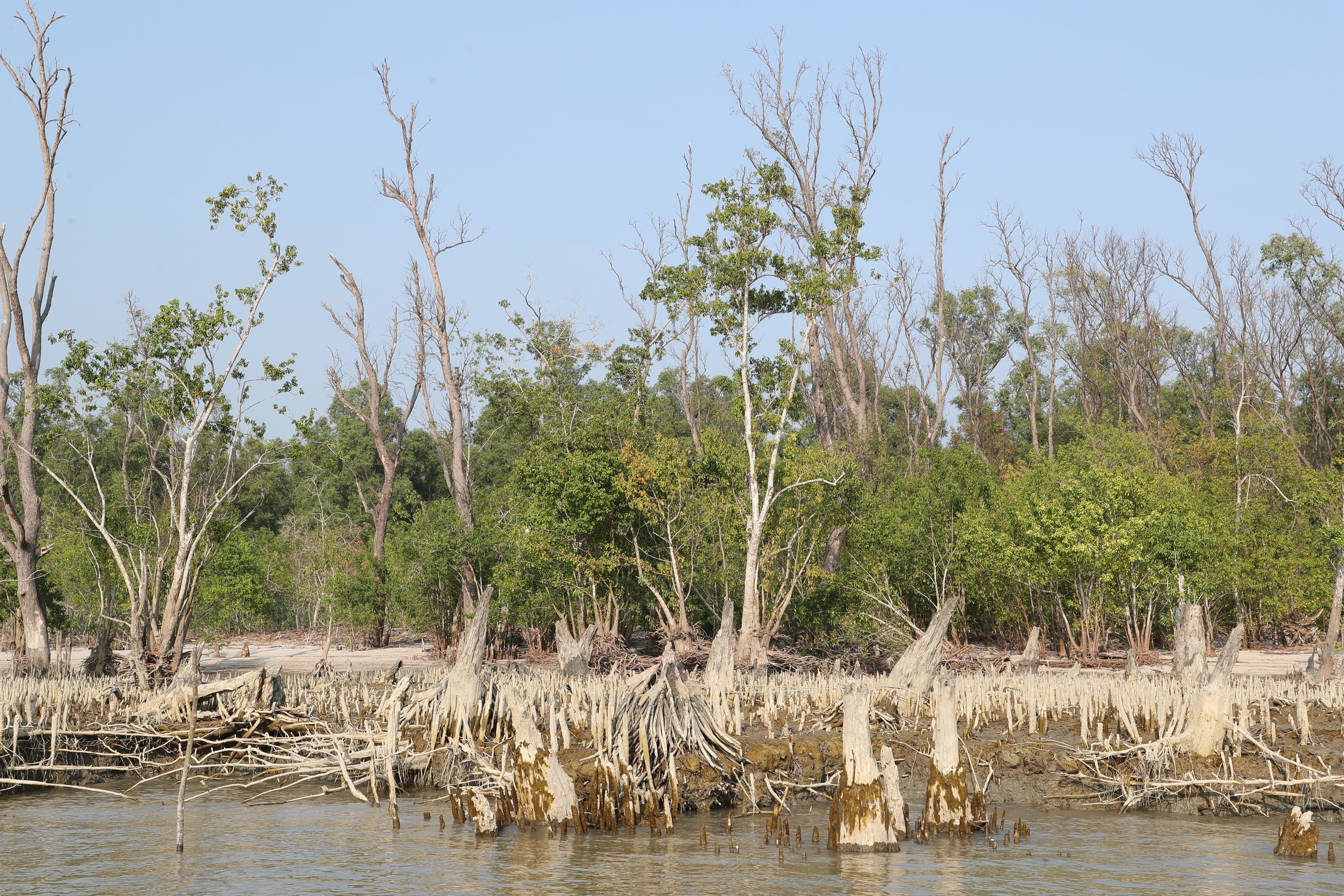 Loss and Damage: The Bangladesh Perspective