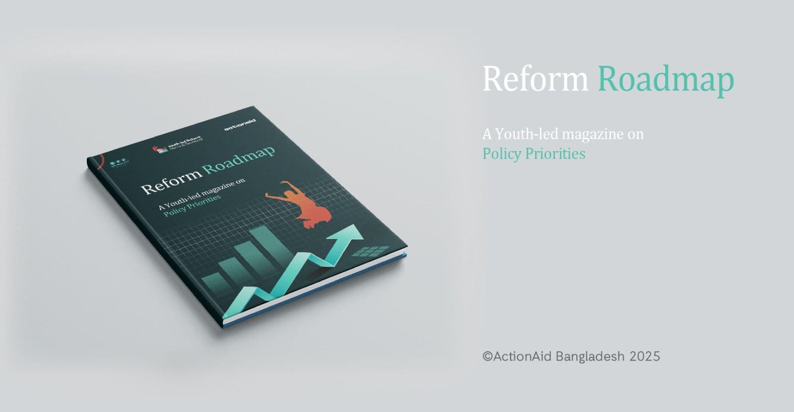 Reform Roadmap