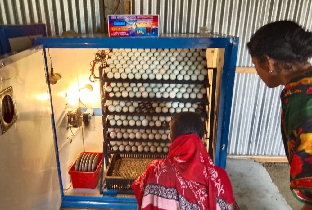 2. Avas-Well foundation.jpeg