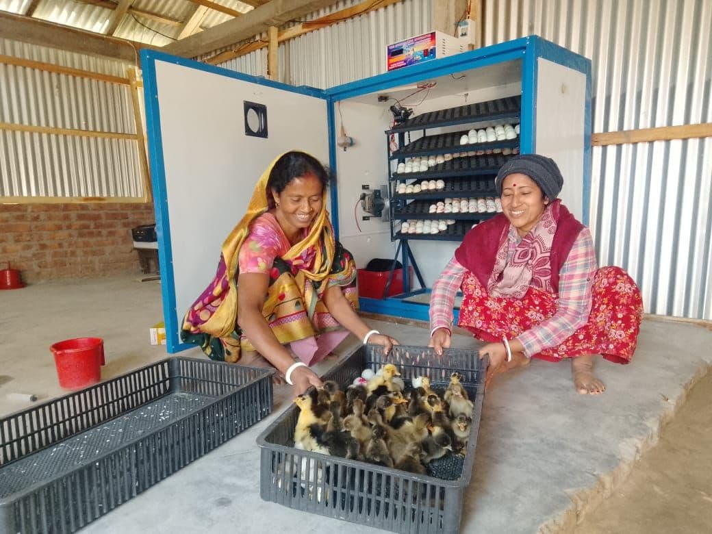 5. AVAS-Well foundation.jpeg