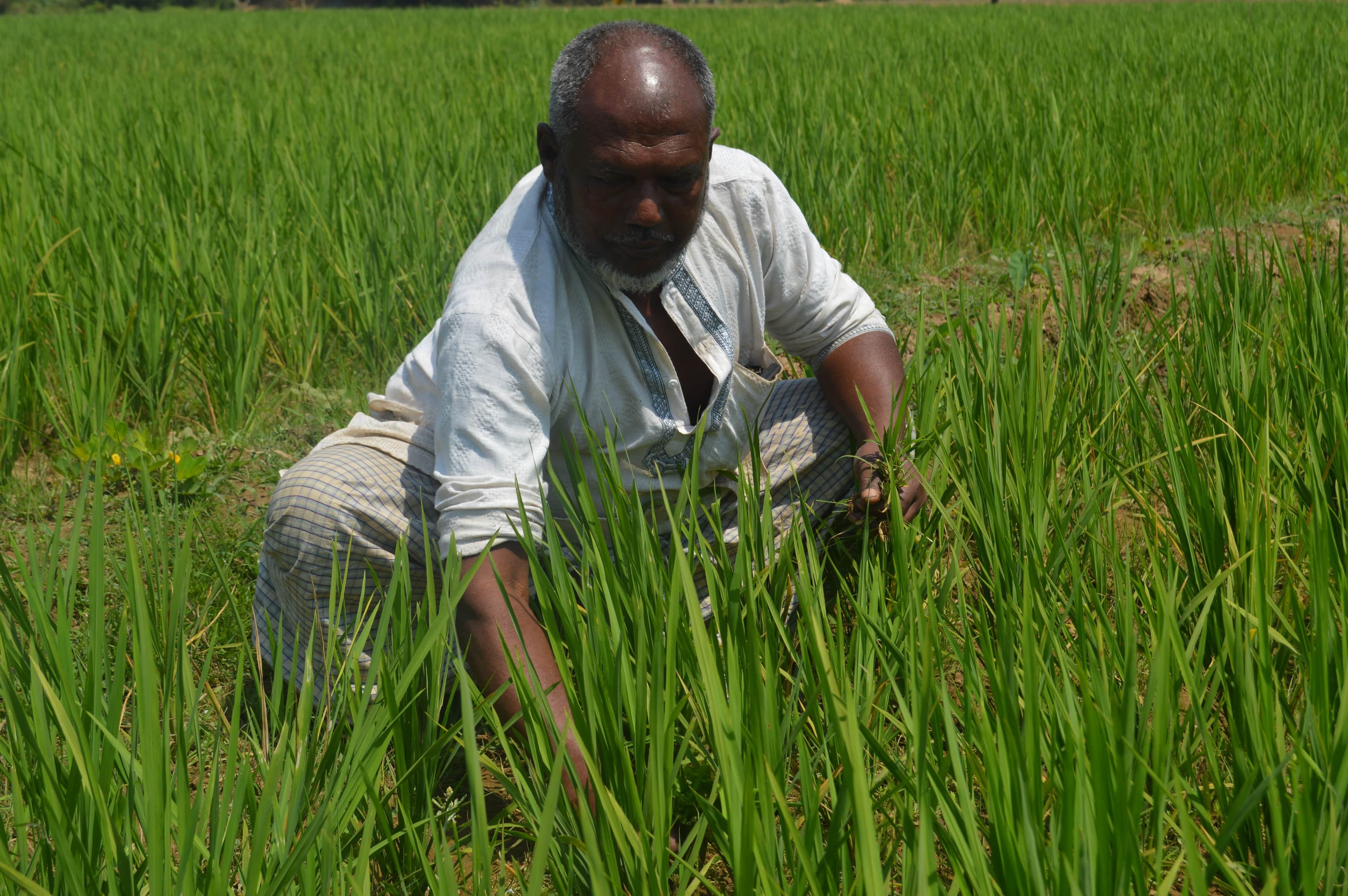 Rights and Redistributive Justice for Resilience Building: A Social Movement