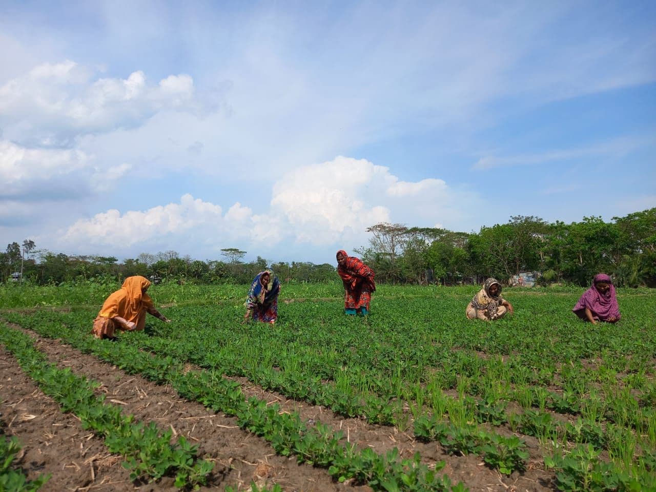 Women-led Solutions to Food Insecurity and Livelihood in Face of Climate Change