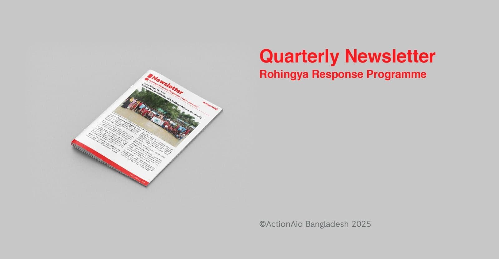 Rohingya Response Programme