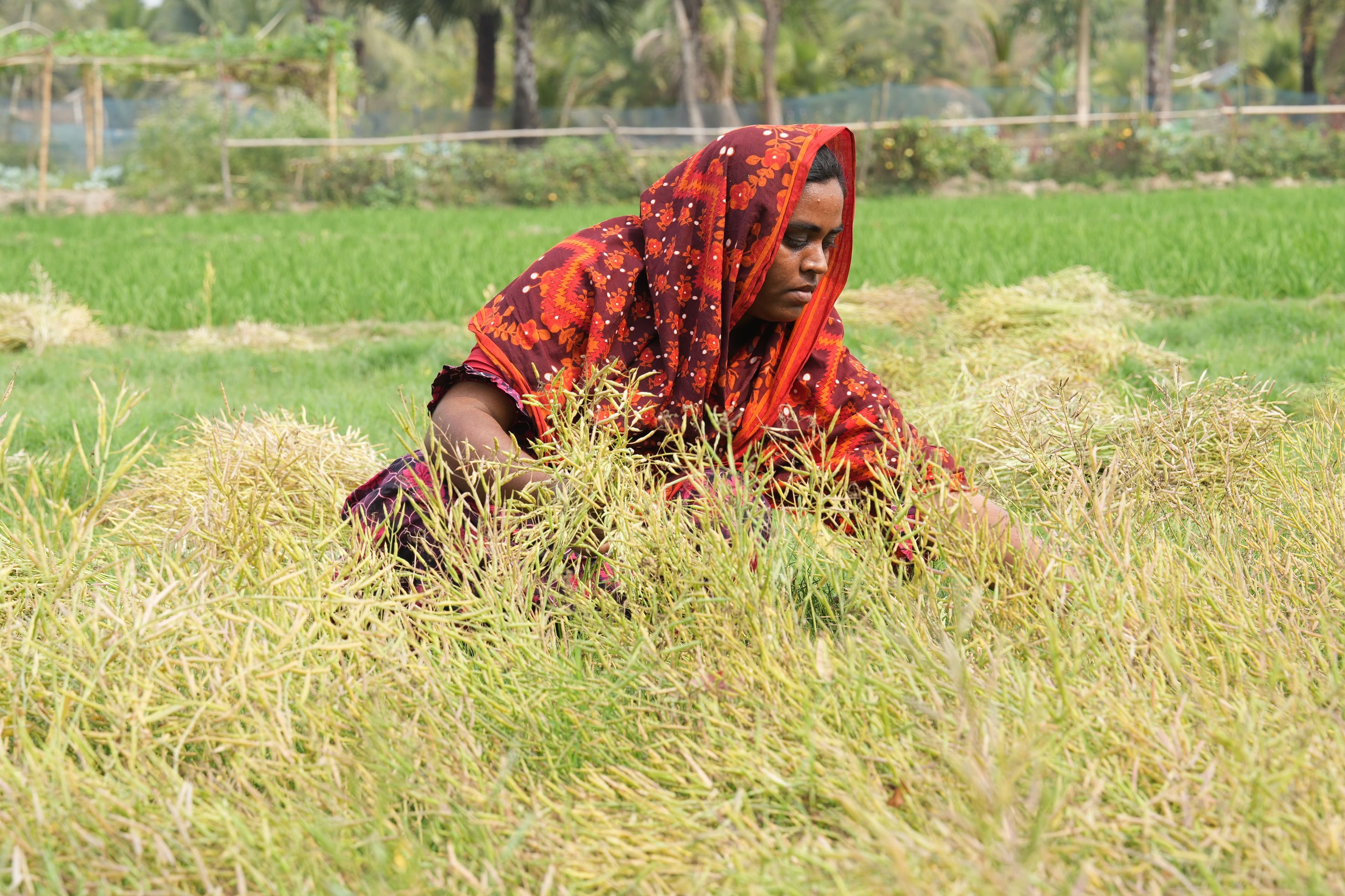 Women in Agriculture (1).JPG
