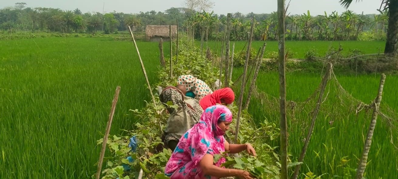 Civil Society-Led Transformation Toward Climate Resilience