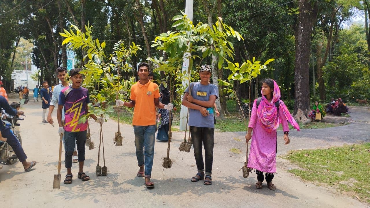 18. Tree plantation.png