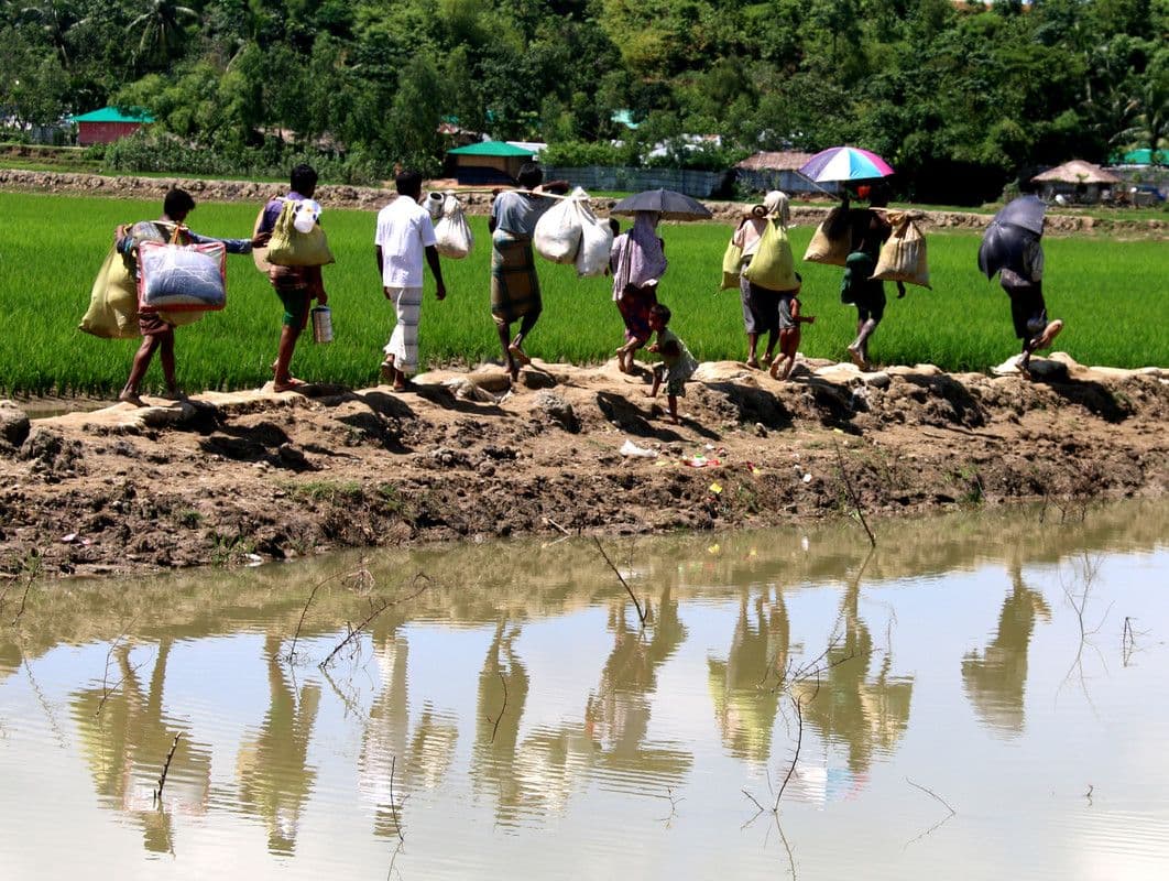 Rohingya Response Programme